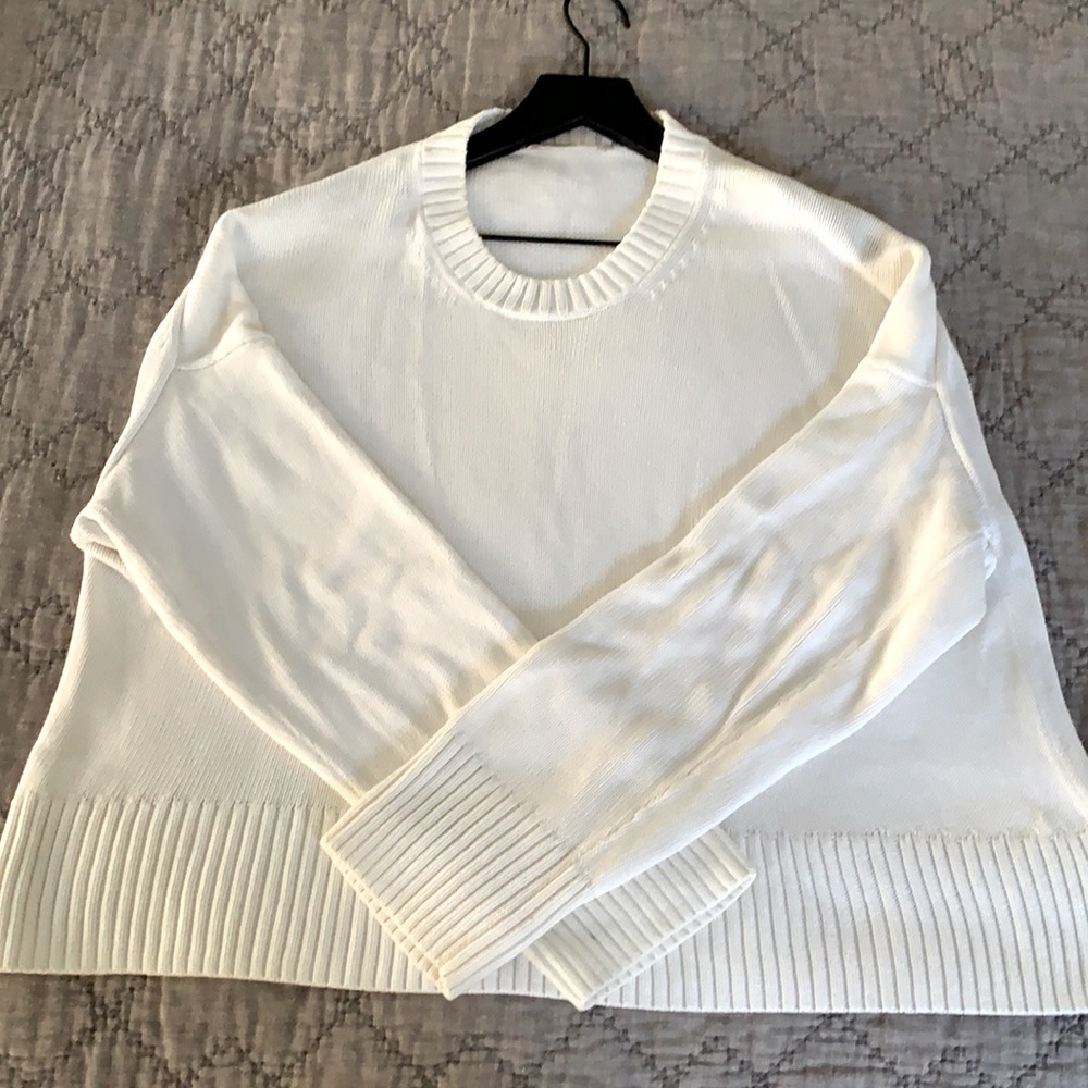Everlane 100% Cotton Sweater